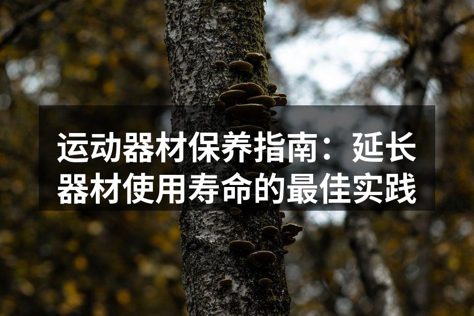 定期清洁保持器材如新
