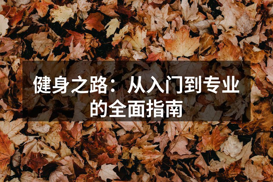 健身器材的多样选择
